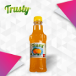 Picture of TRUSTY MEYVE SUYU 330ML ŞEFTALİ KOLİDE 24 LÜ